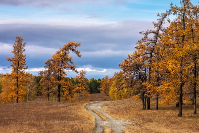 *******photo preview