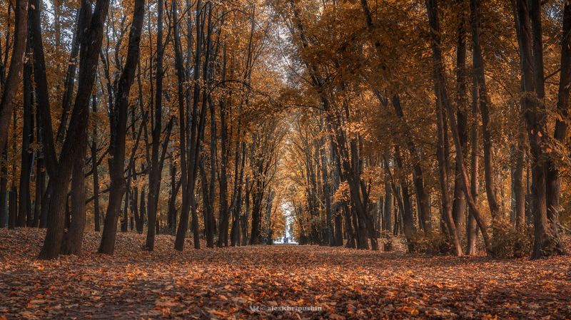 пейзаж Осенний этюдphoto preview