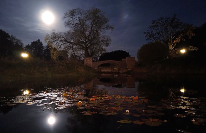 Лунная ночь.photo preview