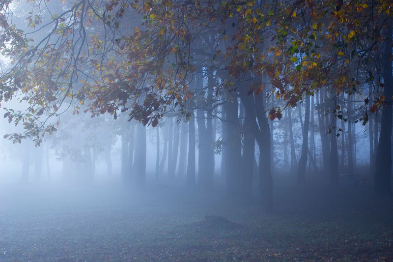 ********photo preview