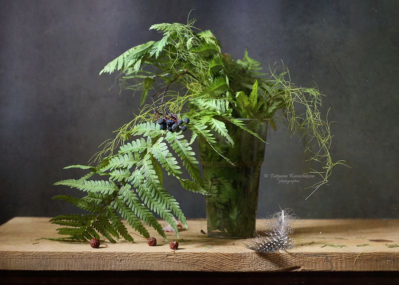 натюрморт, папоротник,зеленый Перышко дивной птицыphoto preview