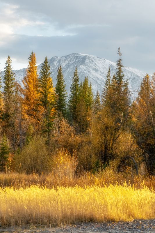 Лёд и пламя_2photo preview