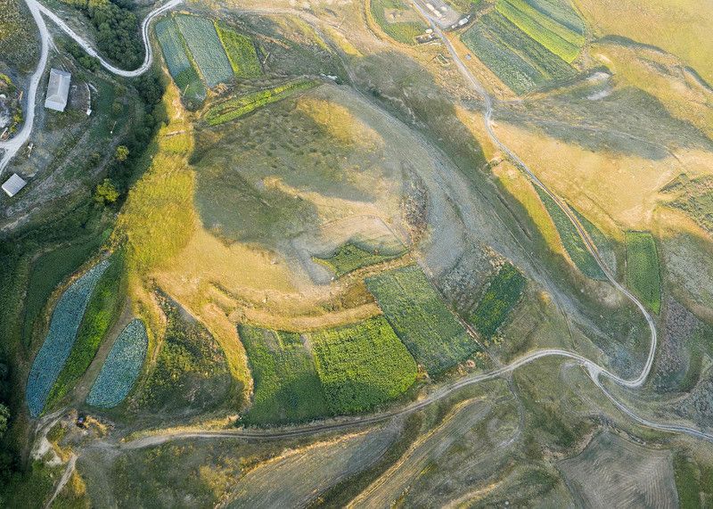 50 оттенков зелёного фото превью