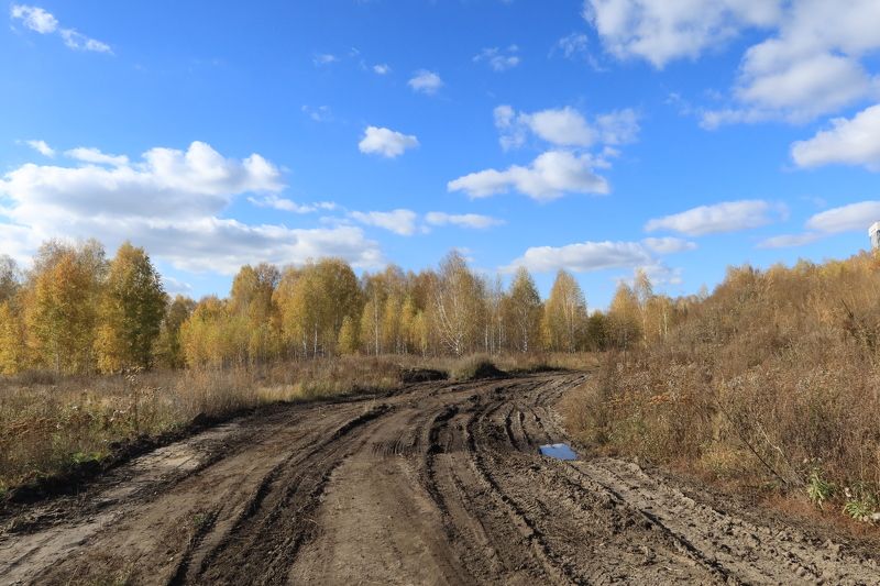 лес,дорога,осень,нсо,кольцово Дорогаphoto preview