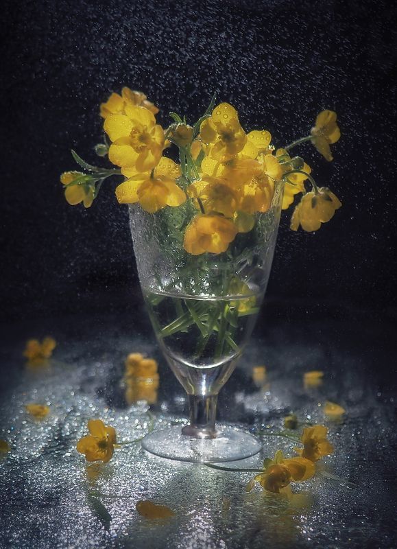 Жёлтенькиеphoto preview