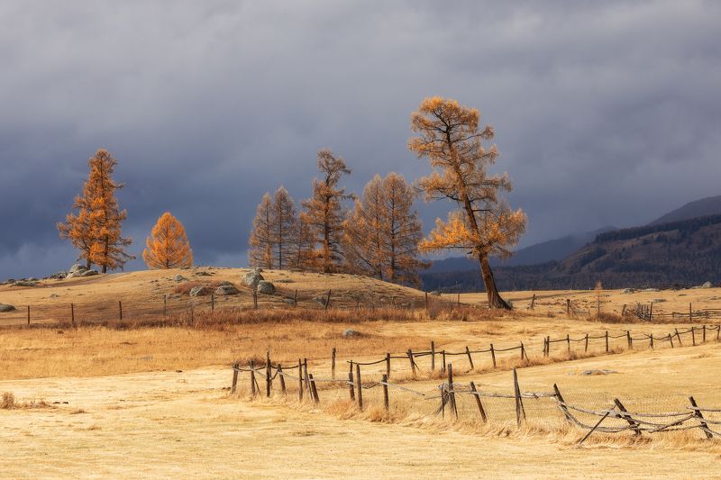 алтай За околицейphoto preview