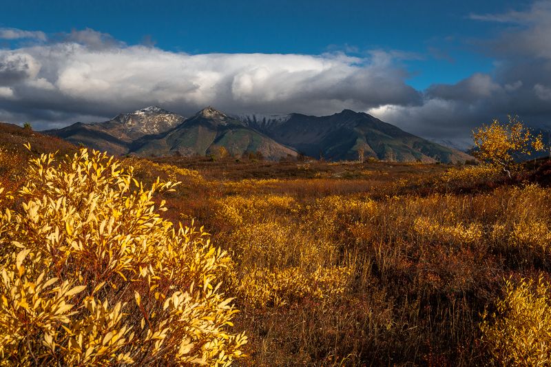 природа камчатского края,ганальская тундра  ...photo preview