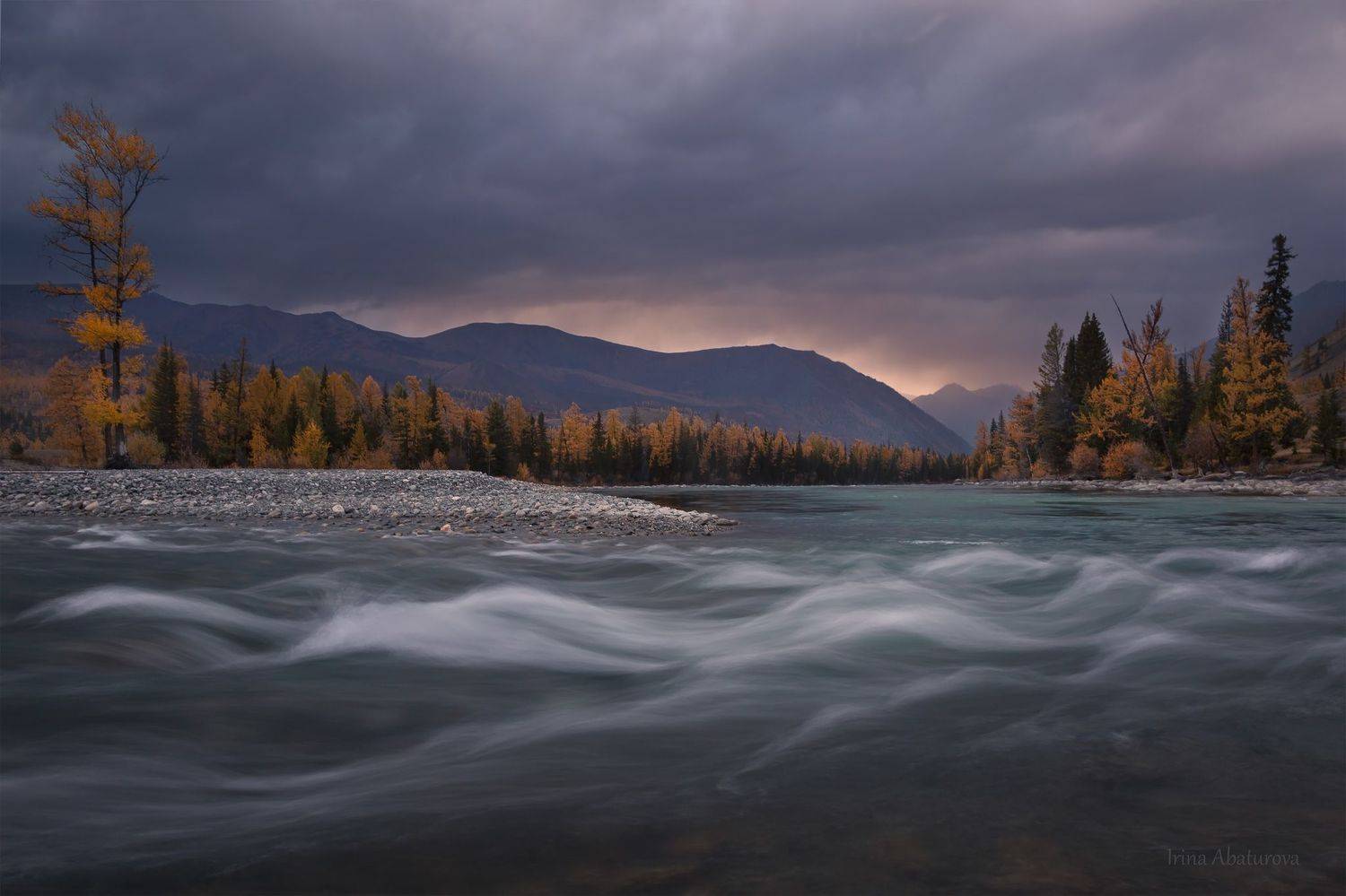 Река Коксу при впадении в Аргут. Автор: Ирина Абатурова алтай, аргут, река, осень, коксу, джазатор, Ирина Абатурова