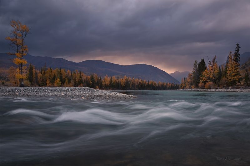алтай, аргут, река, осень, коксу, джазатор Река Коксу при впадении в Аргутphoto preview