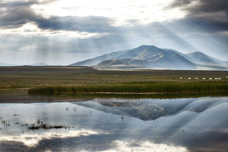 Вторжение светаphoto preview