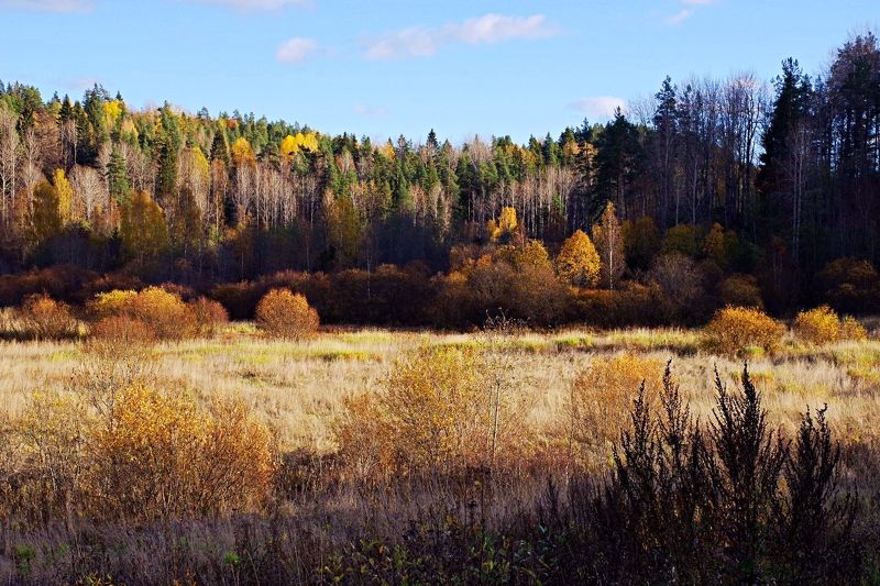 карелия осень дороги осенний лес золото осени озера Дорогами осени. Карелияphoto preview