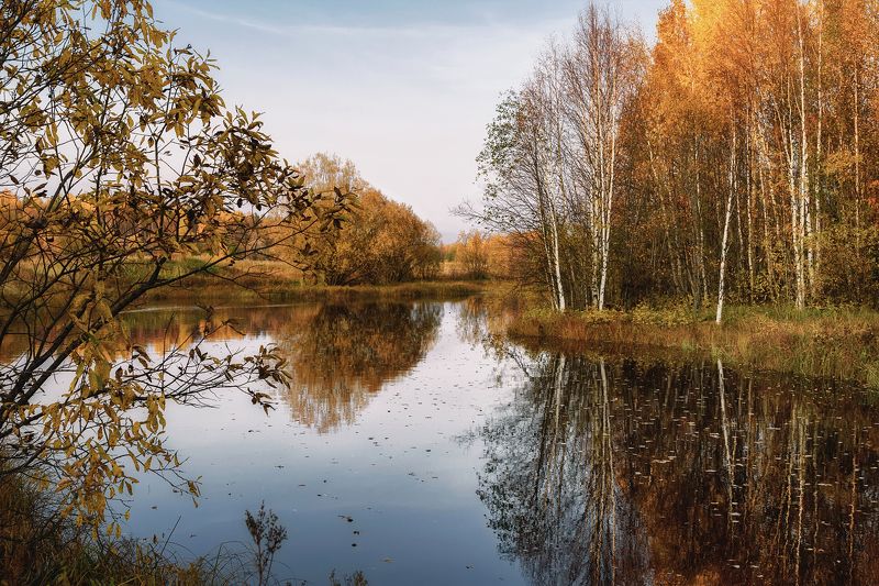 Незаметно уходит осеньphoto preview