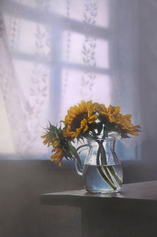 Три солнышкаphoto preview