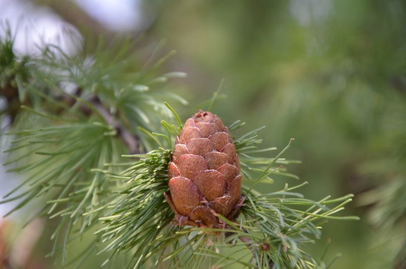 Контрастphoto preview