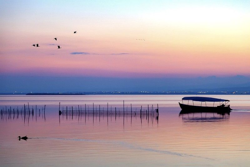 L\'Albufera de Valènciaphoto preview