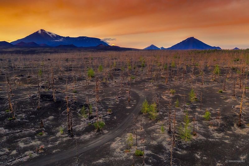 камчатка, природа, лес, вечер, погода, мёртвый лес, вулкан, дальний восток, деревья, облака, россия, закат, kamchatka, nature, evening, weather, dead forest, volcano, far east, trees, clouds, russia, forest, sunset Камчатская вечерняя соната | Kamchatka Evening Sonataphoto preview