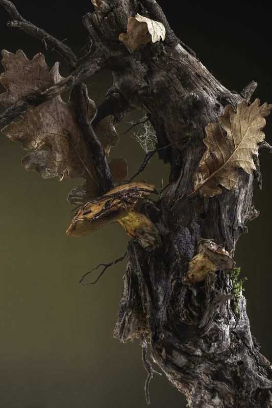 Осень Настроение - Осеньphoto preview