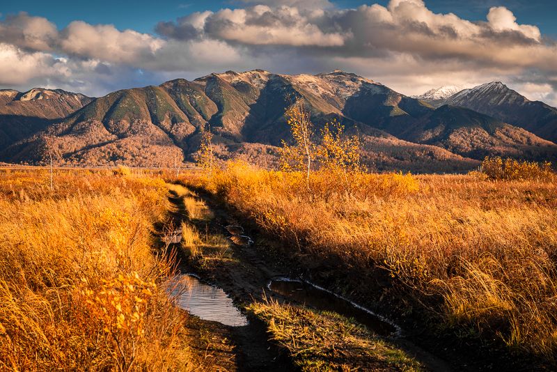 природа камчатского края,ганальская тундра ...photo preview