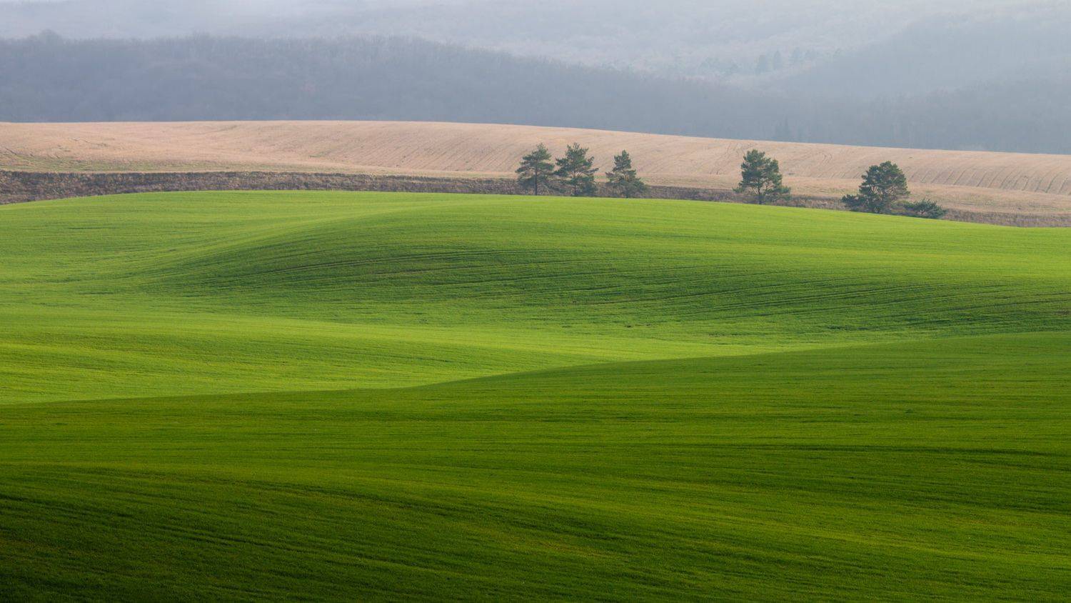 . . .. Автор: Taurtirith Photography , Taurtirith Photography