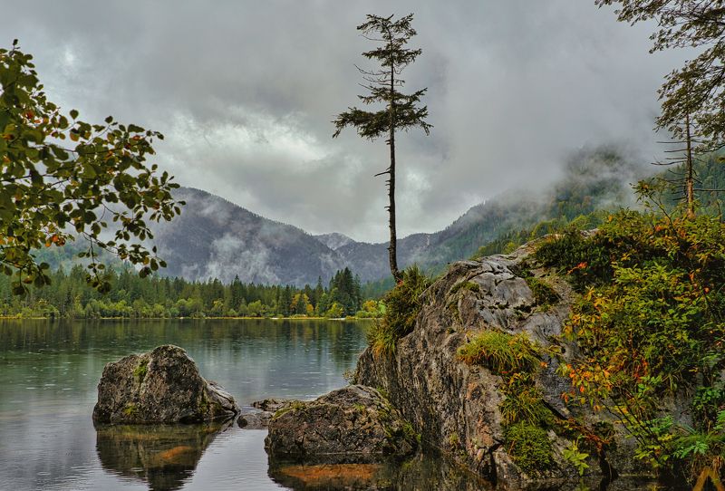 Хмурое утроphoto preview