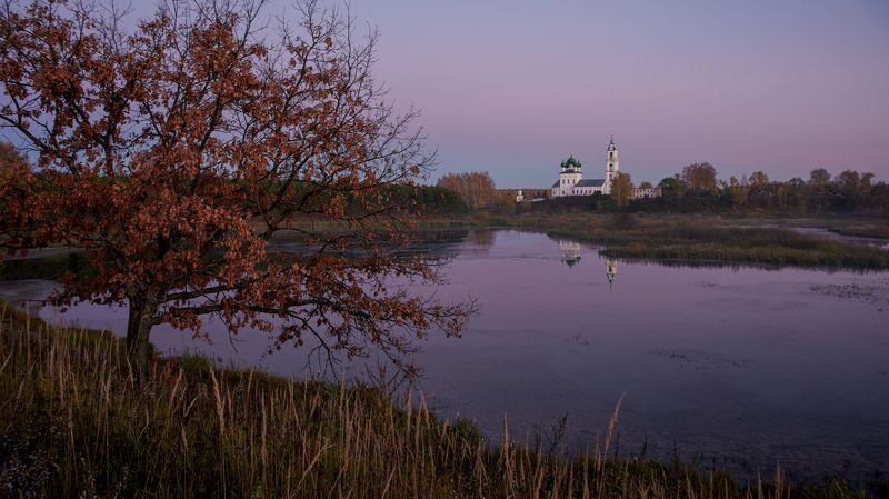 Одинокое дерево фото превью