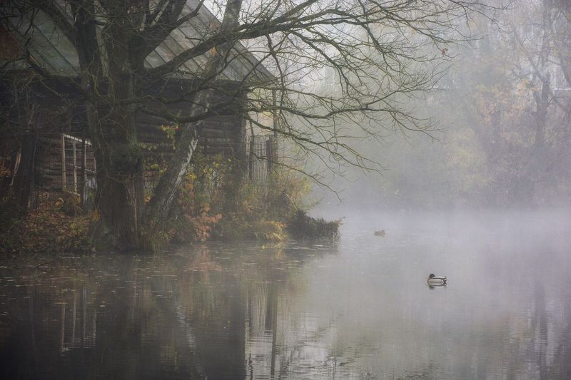 Сонное царствоphoto preview