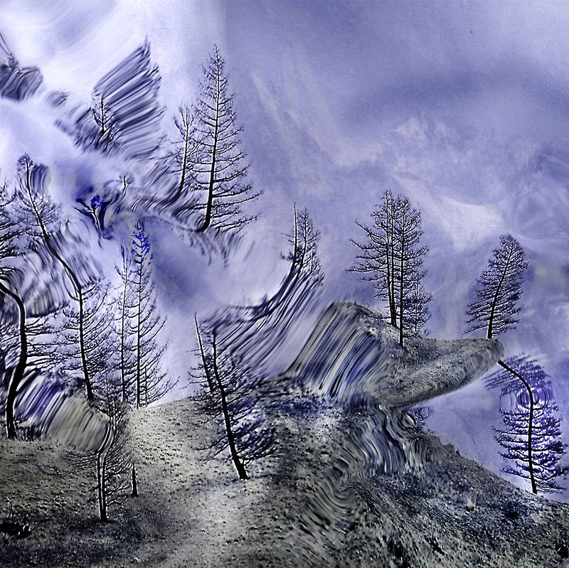 Сортингphoto preview