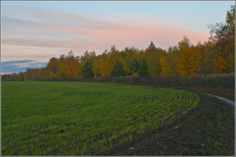 Осенний балphoto preview