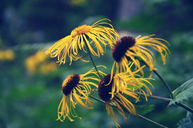 Утроphoto preview