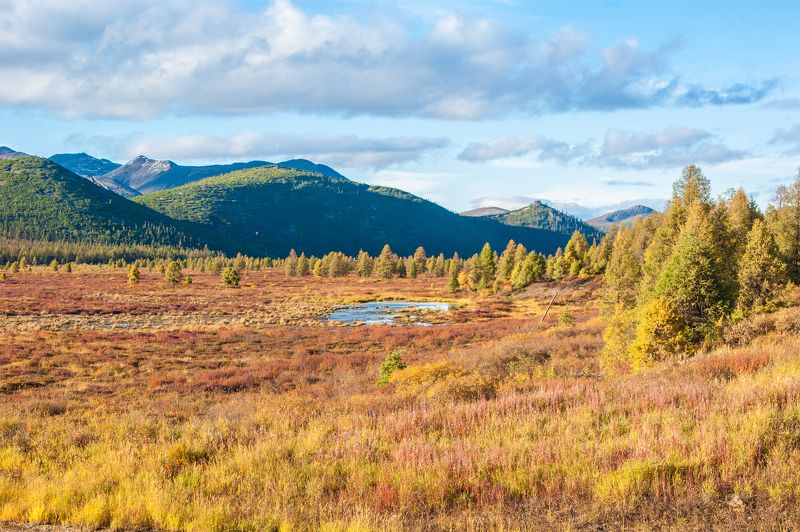 Колымская осеньphoto preview