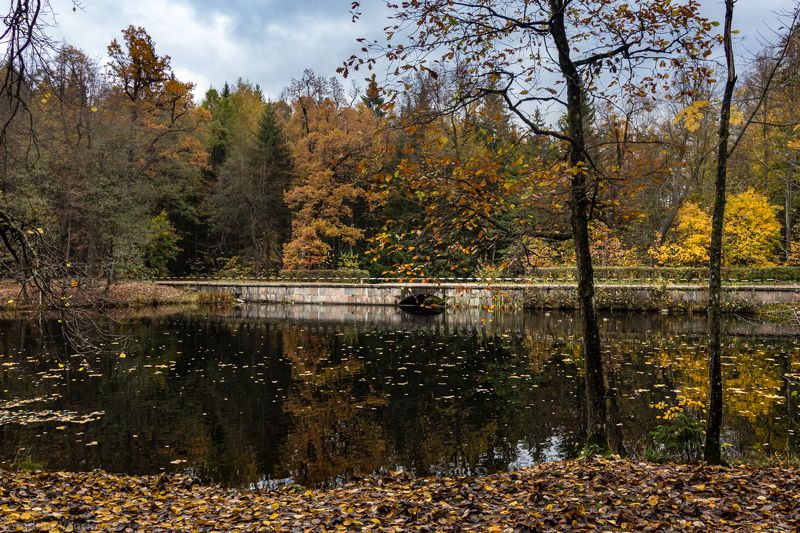 Пунктирphoto preview