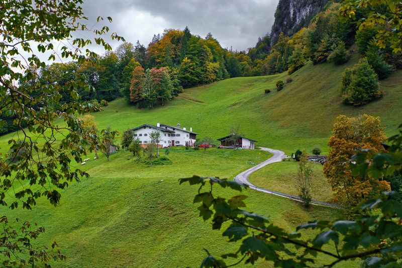 Зелёный бархатphoto preview