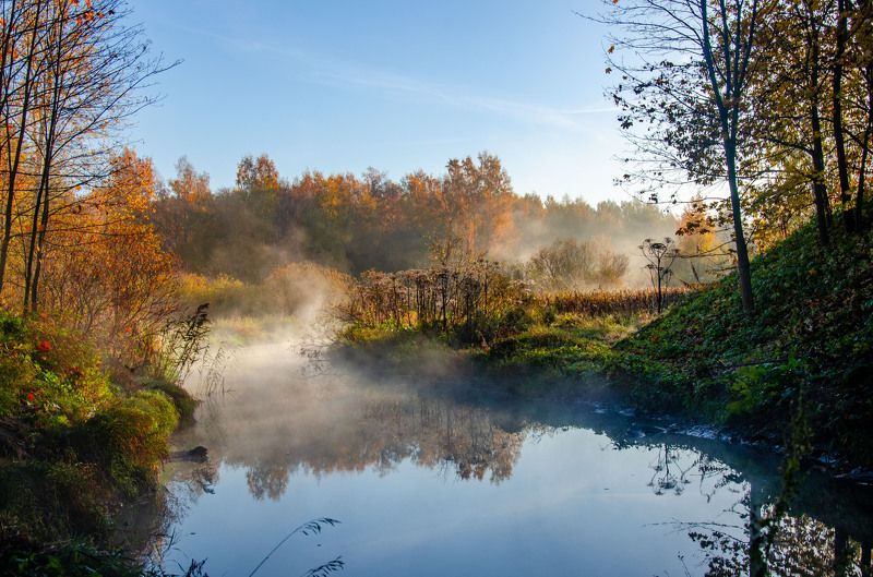 туман, осень, пейзаж, сумрачно Осенние туманыphoto preview