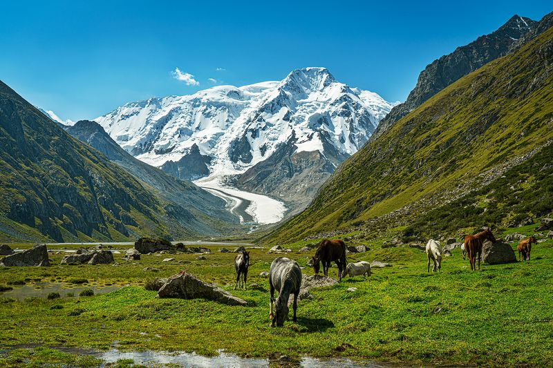 тянь-шань, терскей алатоо, онтор, каракол, слонёнок, киргизия, кыргызстан Терскей АлаТоо, в верховьях реки Онтор, на подступах к пику Каракол и вершине Слонёнокphoto preview