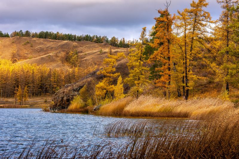 *******photo preview