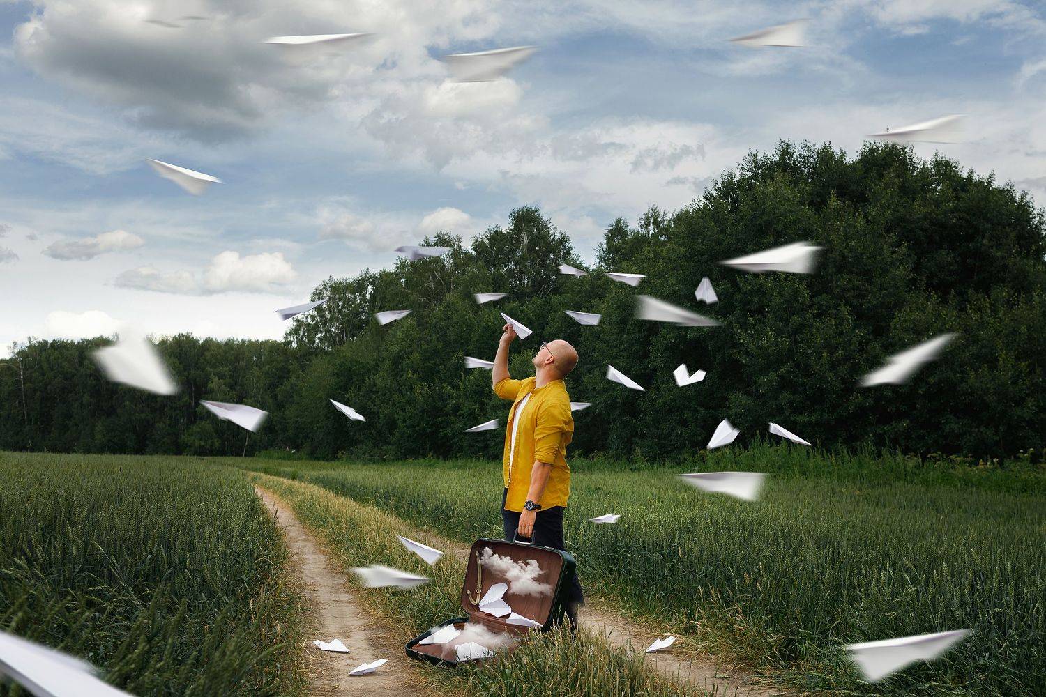 лето портрет самолеты самолетик поле, Данилкин Геннадий