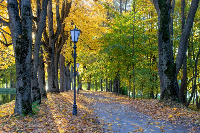 В старом паркеphoto preview