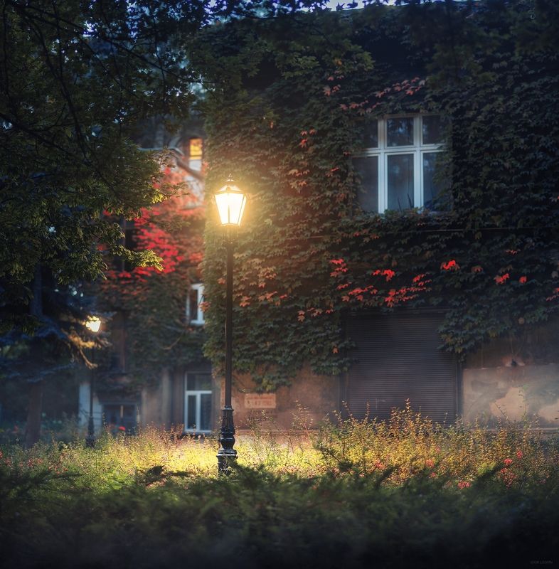 Парк Сенкевичаphoto preview