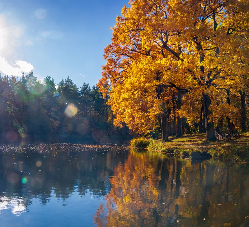 петергоф, александровский парк, осень, природа, листва, озеро, отражение, санкт-петербург, красиво Александровский парк, Петергофphoto preview