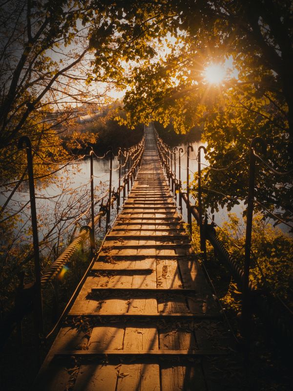 мост, осень, солнце, закат, висячий мост, Мост в Терабитиюphoto preview