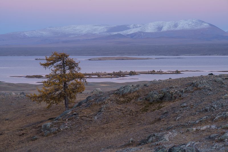 монголия, алтай, пейзаж, путешествие, горы, хайкинг, туризм Алтайская пастельphoto preview