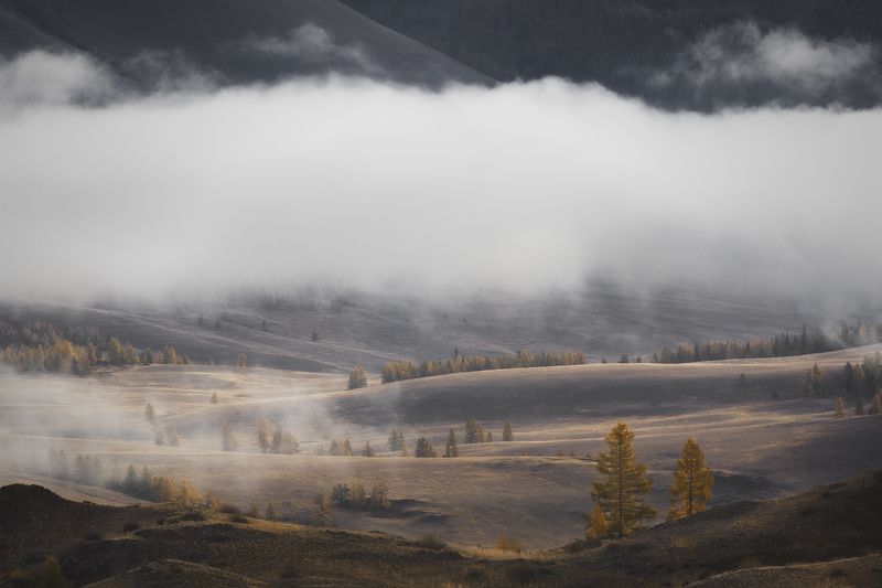 туман, в, курайской, степи Туман в Курайской степиphoto preview