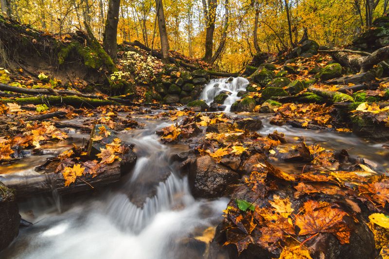 мельничный ручей, псков Мельничный ручейphoto preview