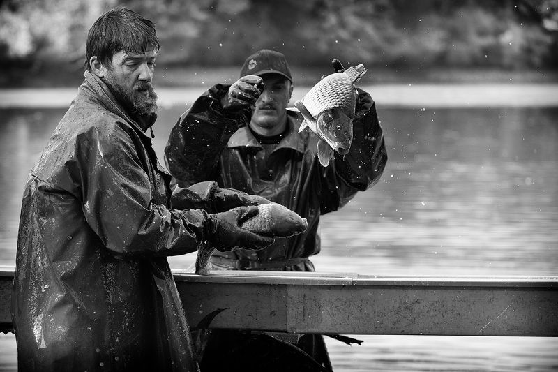 From catching fishphoto preview