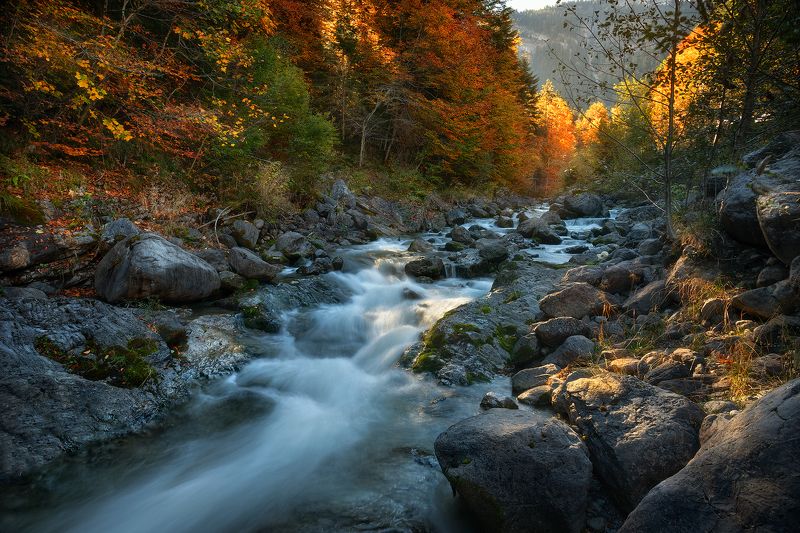 switzerland. autumnphoto preview