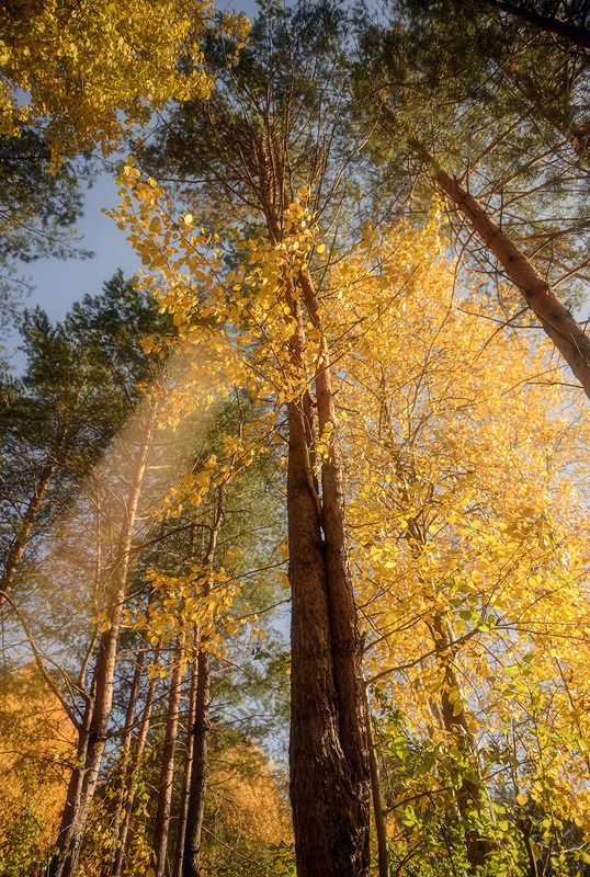 октябрь Луч  солнца золотогоphoto preview