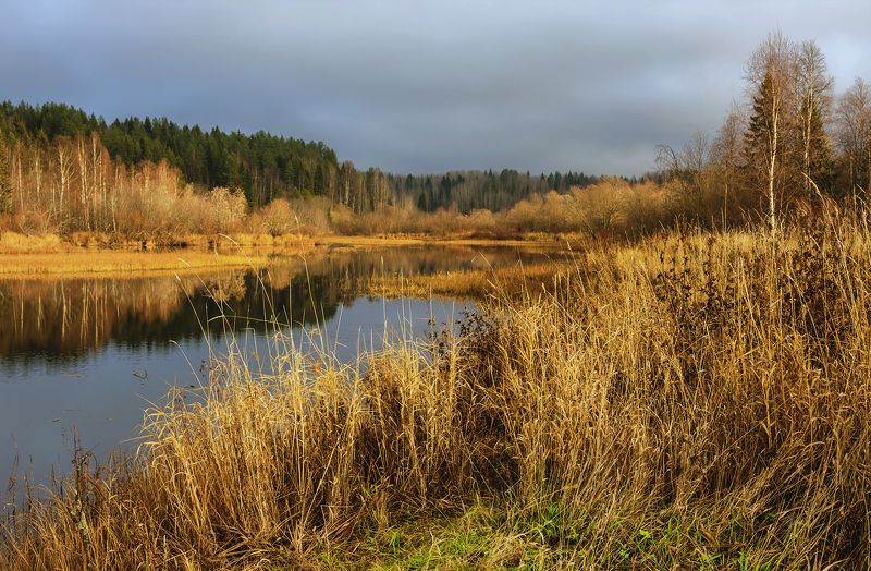 Вянут осенние травыphoto preview