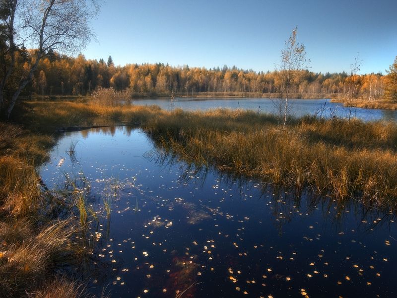 Осеньphoto preview