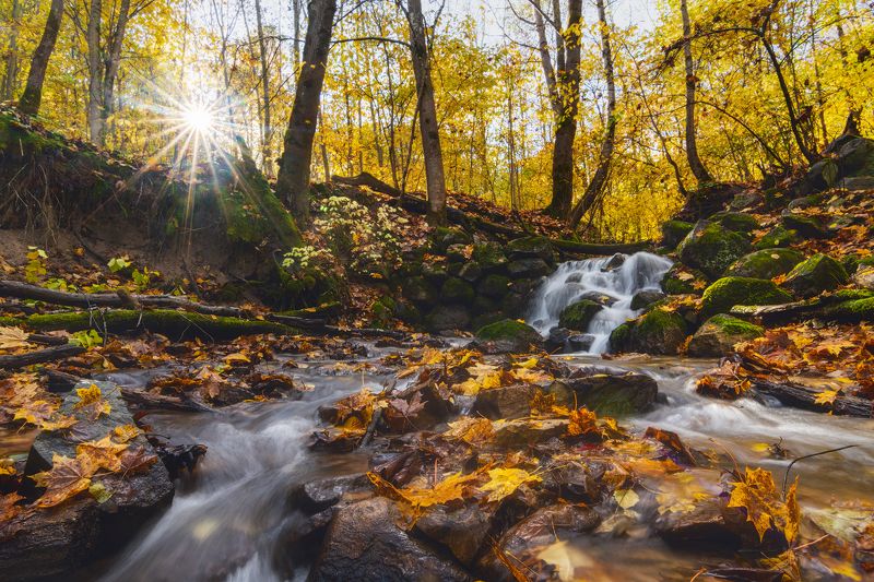 осень, псков, мельничный, ручей ***photo preview