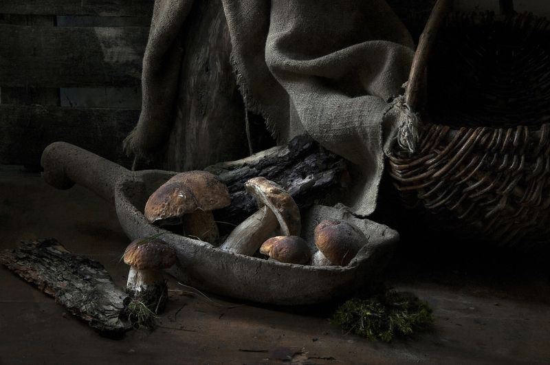 осень, грибы, лес Грибнойphoto preview